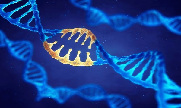 Virüsler bazen konak hücrenin DNA'sına yamanır